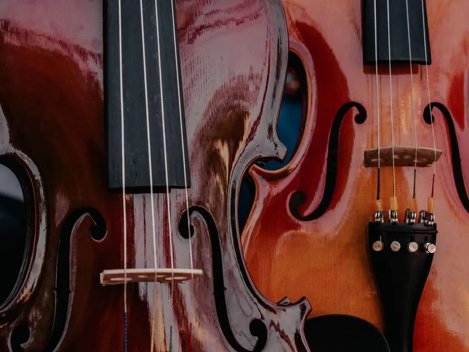 Skrzypce — inspiracja muzyczna, instrument nie jest częścią oferty