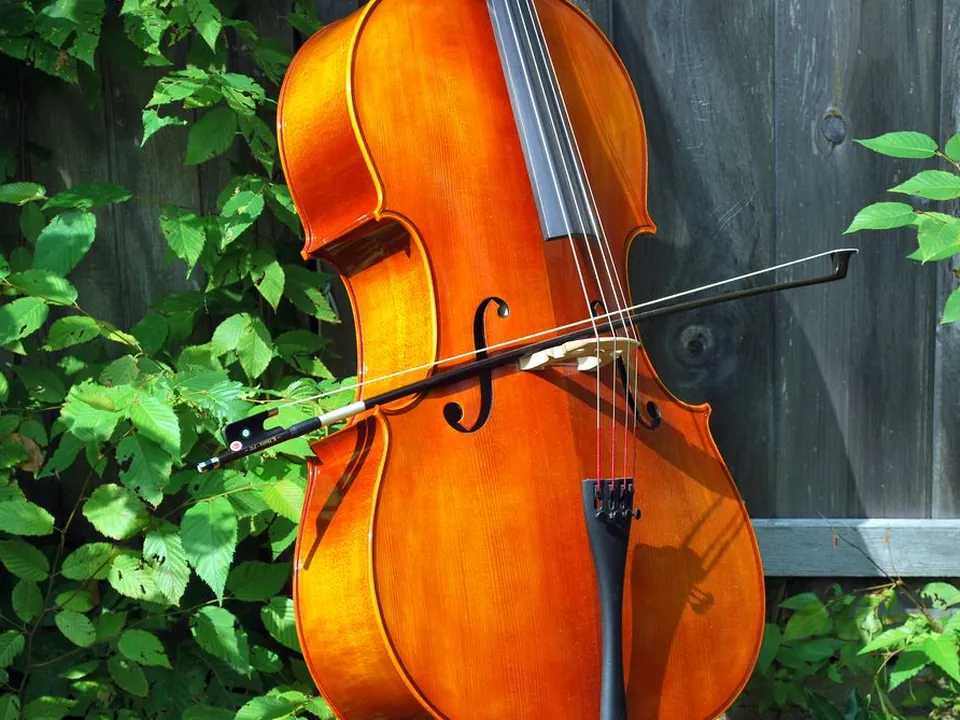 Wiolonczela — inspiracja muzyczna, instrument nie jest częścią oferty